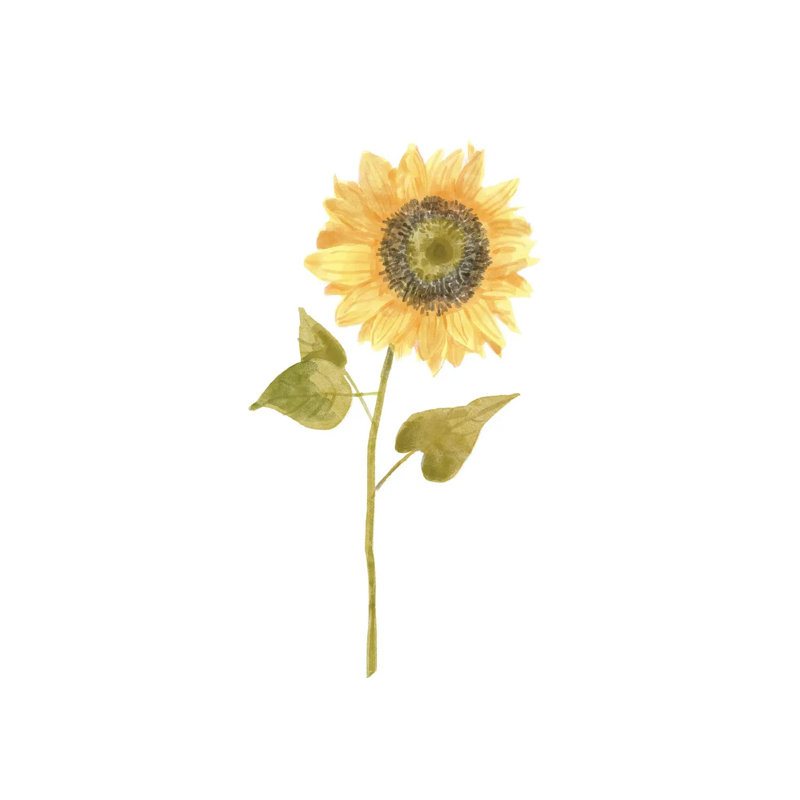 Single Sunflower Portrait I by Bannarot - Wrapped Canvas Gallery-Wrapped Canvas Giclée, 20.32 cm H x 30.48 cm W