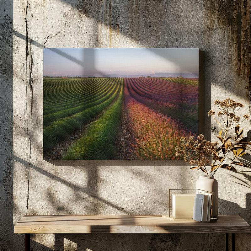 Wrapped Canvas Print, 50.8 cm H x 76.2 cm W