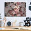 " Coral Ranunculus " by Susan Ball-182810470