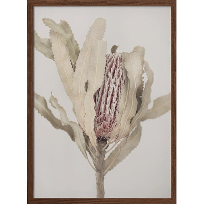 Art mural "Banksia" inspiré de la nature