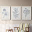 Indigo Botany Study IV - Ensemble de 3 peintures sur toile encadrées-116087745-116087746