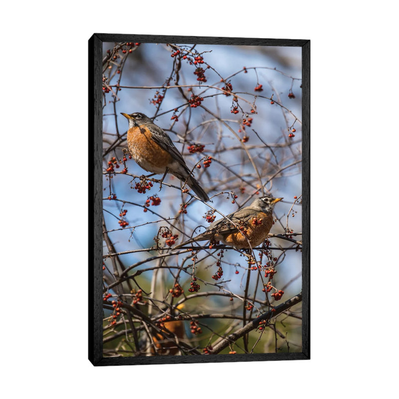 Spring Robins 1 Piece Wall Art on Canvas, 101.6 cm H x 66.04 cm W, Black Framed