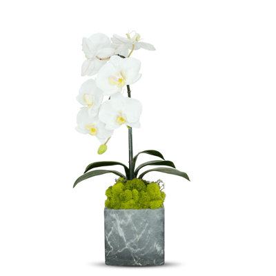 Artificial Orchid in Planter