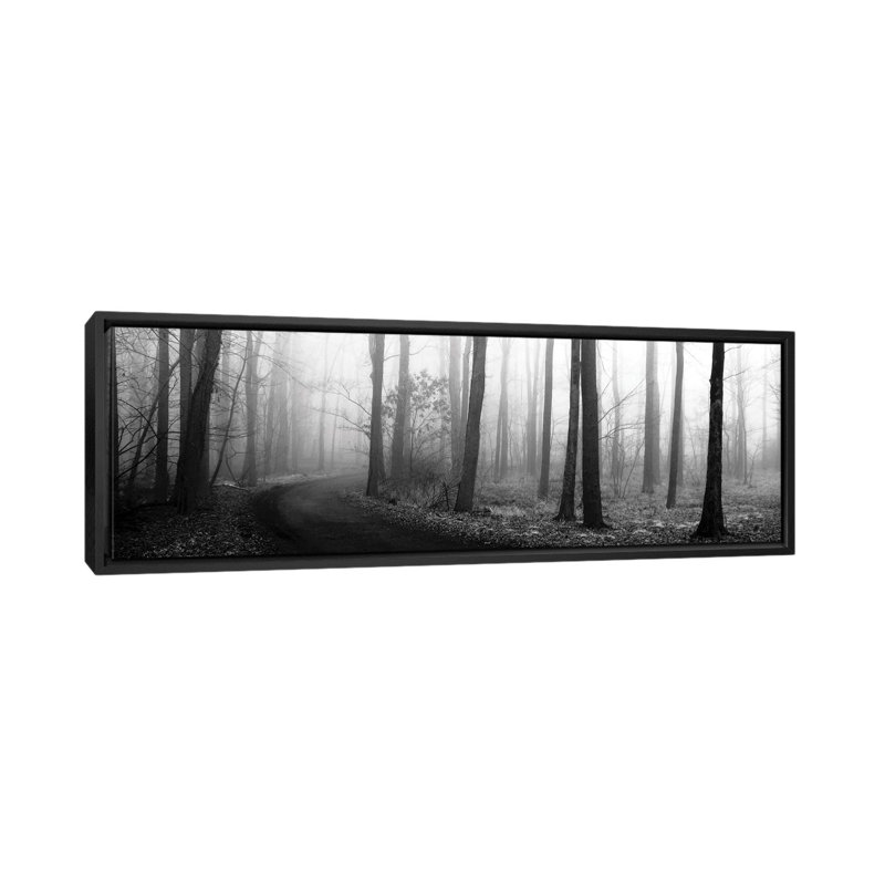 «Forest Path» par Erin Clark - Reproduction giclée sur toile panoramique, H 12 po x l 36 po x P 1,5 po, Cadre noir