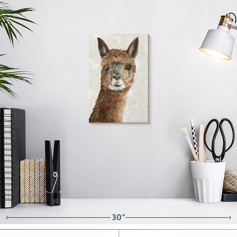 Brampt Suri Alpaca II, 12" H x 8" W