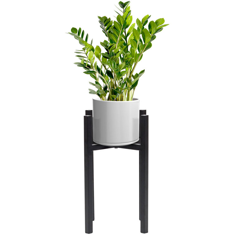 Acacia Mid Century Plant Stand (Adjustable) + Black & White Pot Basket