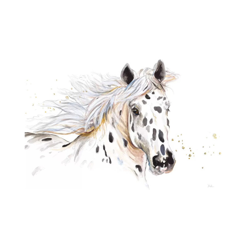 Appaloosa by Patricia Pinto - Wrapped Canvas Gallery-Wrapped Canvas Giclée, 66.04 cm H x 45.72 cm W