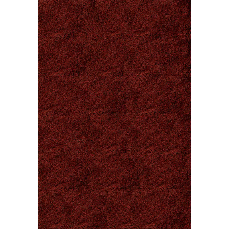 Tapis touffeté à la main Ciera, Rectangle 5 pi x 7 pi