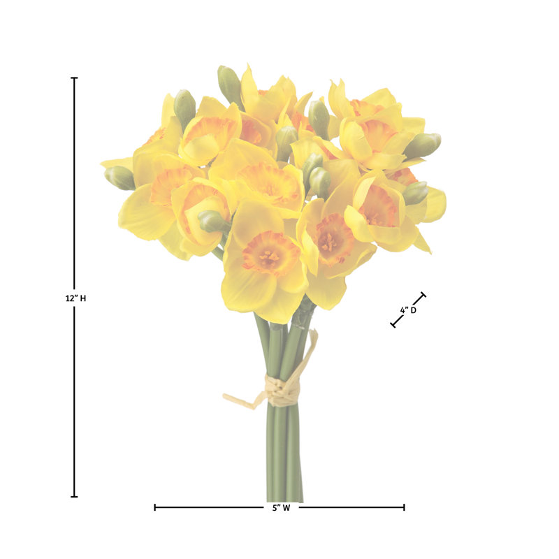Ensemble 12 po Narcissus