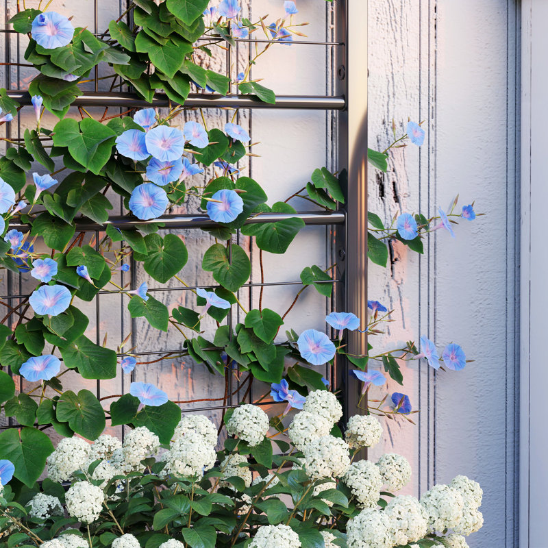 Raised Garden Bed with Trellis