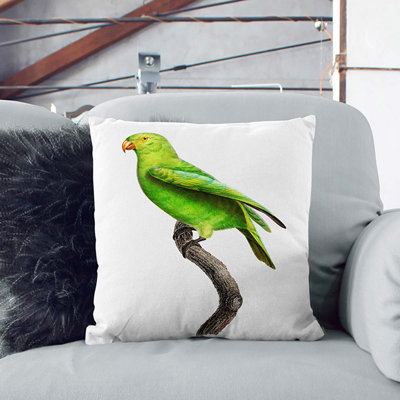 Square Throw Cushion