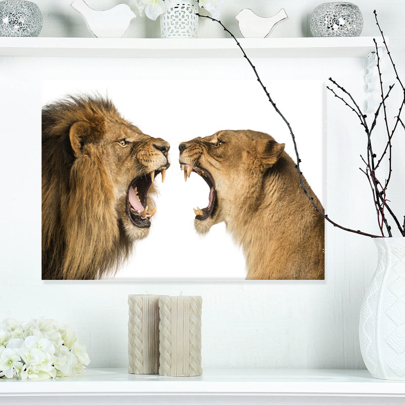 «Lion and Lioness Roaring», impression sur toile tendue, H 8 po x l 12 po x p 1 po, Toile tendue