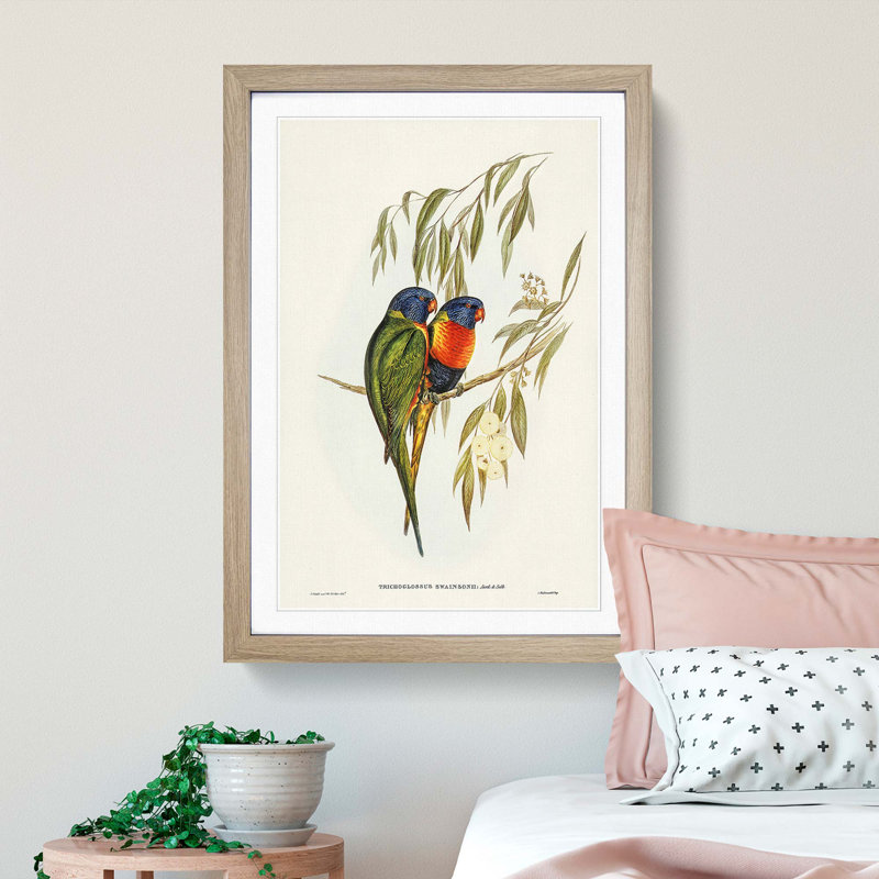 Swainson's Lorikeets by Elizabeth Gould - Picture Frame Art Prints, 65cm H x 48cm W x 2cm D, Oak Framed