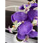 Fabric Orchid Arrangement in Pot-644224495-644224494