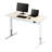 Hamleigh Adjustable Metal Base Standing Desk-411928716-411917025