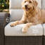 Outdoor Lounge Chair-446054090-446054100