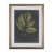 Foliage Dramatique III