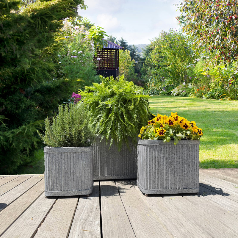 3 Piece Randolph Rectangular Planters, 21.5"