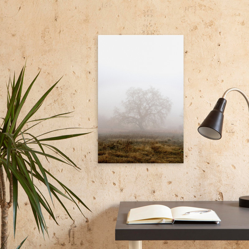 Chêne # 29 - Art photographique, H 24 po x l 16 po