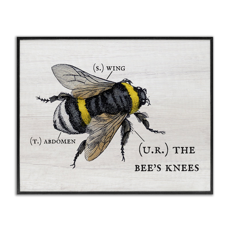 «Anatomy of Honey Bee Pun» par Daphne Polselli, reproduction d'art graphique, H 30 po x l 24 po, Giclée encadrée noir minuit