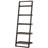 Allexys Ladder Bookcase