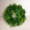 5.5'' Faux Ivy Plant