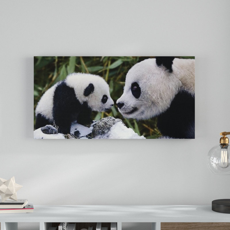 Steve Bloom - Print, Canvas