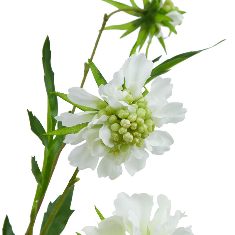 Arrangement, White