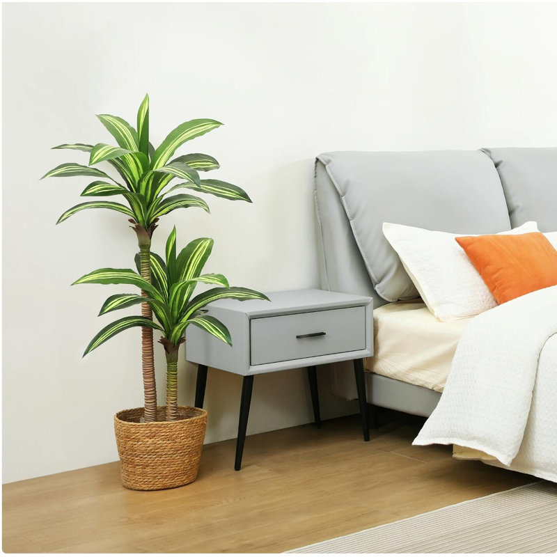 Arbre Dracaena 4 pi 4 po
