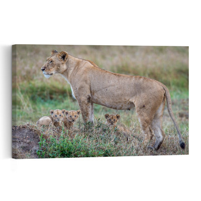 Watchful Lioness And Cubs Contemporary Cat Lion Nature Wildlife Wall Art Print by Jeffrey C. Sink - 1 Piece Wrapped Canvas Wall Art