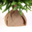 95cm H  Christmas Tree