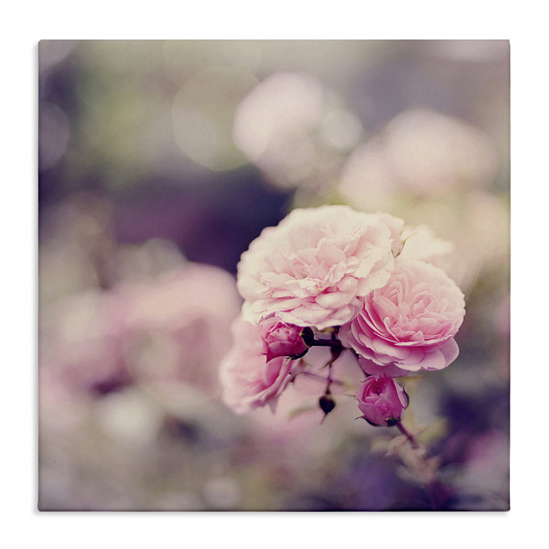 «Pink Garden Ranunculus», art mural sur toile par Sarah Gardner, H 24 po x l 24 po