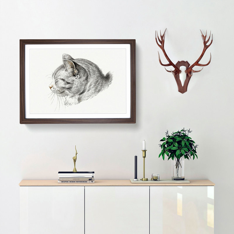 Cat Illustration by Jean Bernard - Picture Frame Graphic Art Print, Walnut Framed, 27cm H x 36cm W x 2cm D
