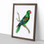 Great-Billed Parrot by George Shaw - Picture Frame Painting Print-55620857-55620858