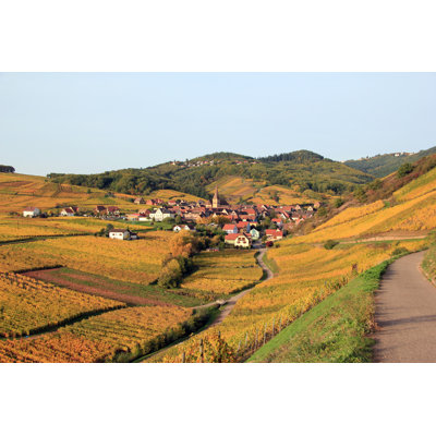 Ramet Alsatian Vineyard - Wrapped Canvas Print