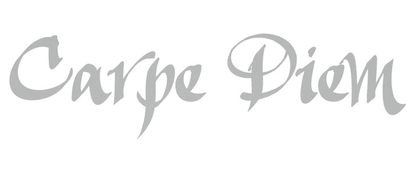 Décalcomanie murale indemnités journalières carpe diem, Argent, H 6 po x l 24 po x P 0,01 po