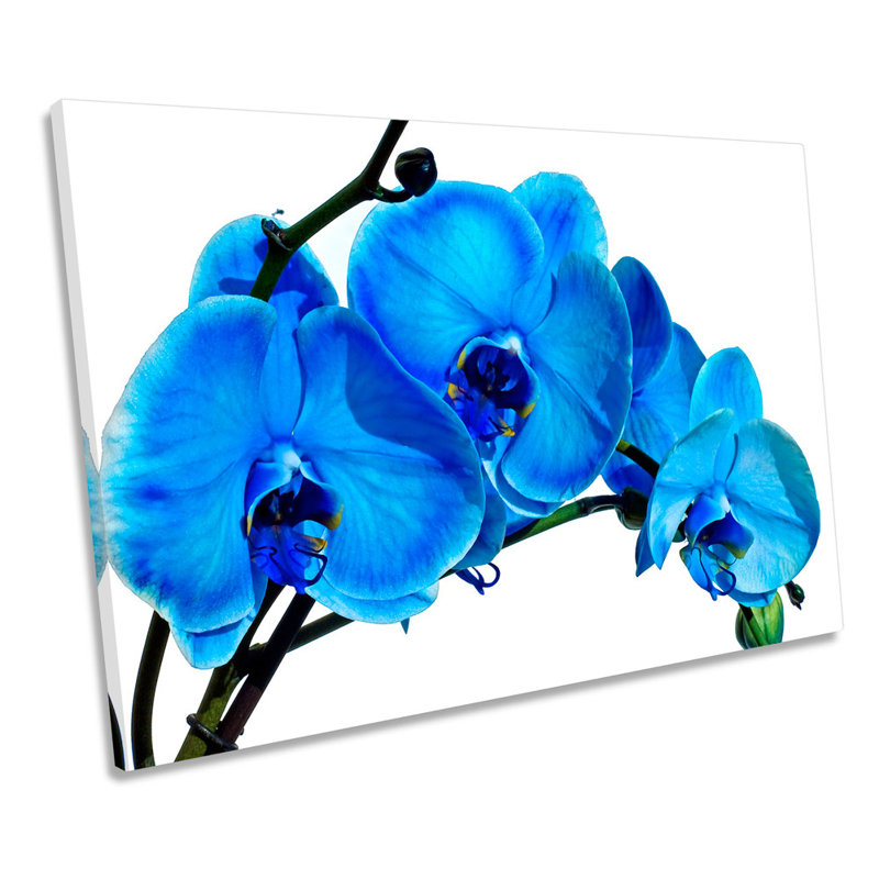Blue Orchid Flower Floral - Wrapped Canvas Print, 40.6cm H x 61cm W x 2cm D