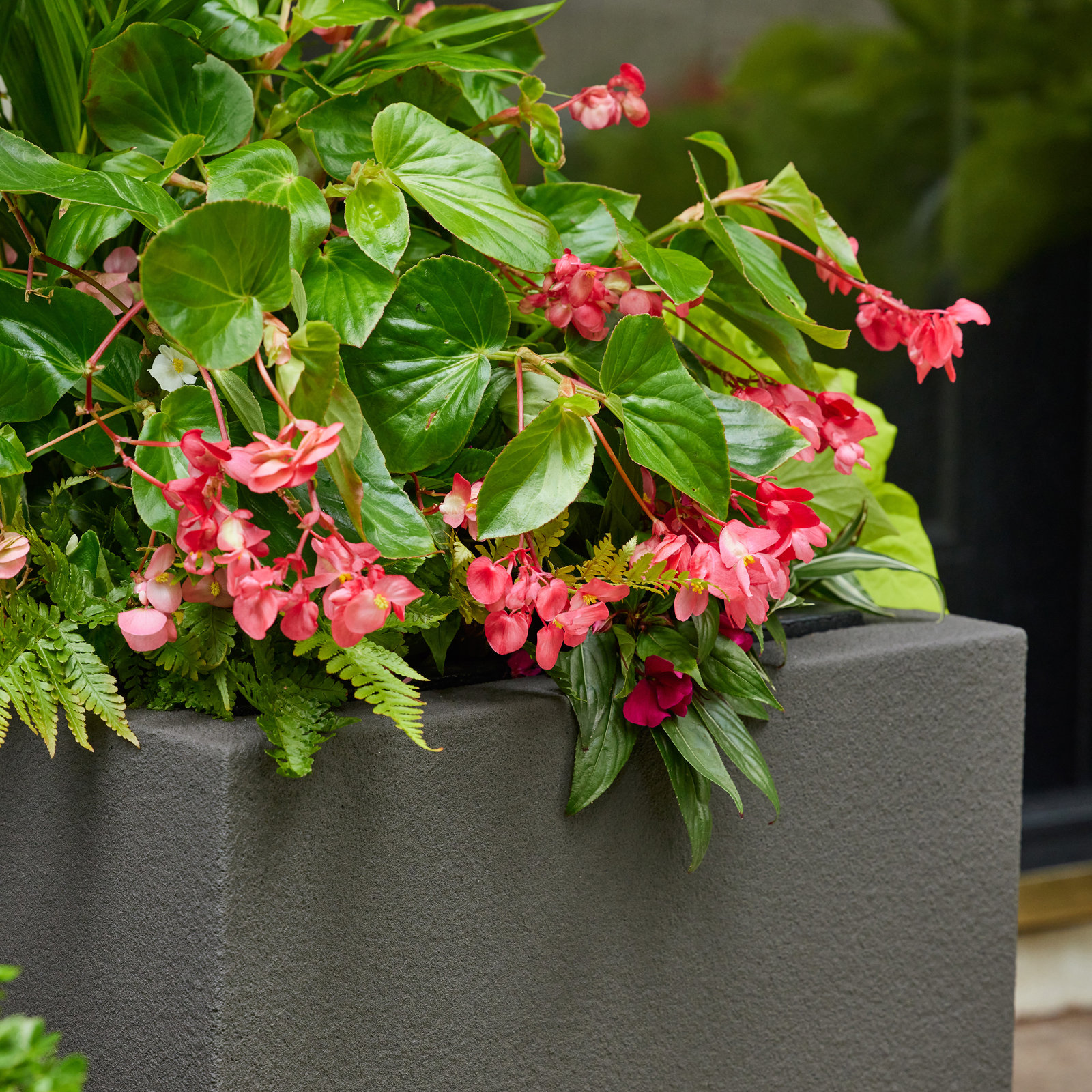 Gita 36" Planter Box, Slate Gray