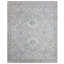 Oriental Area Rug