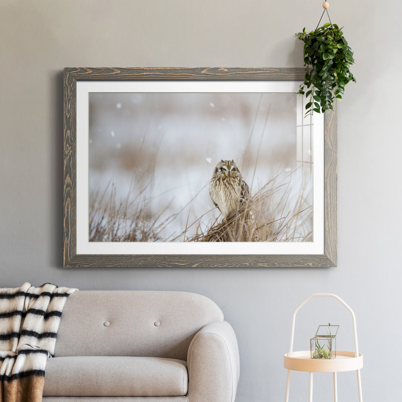 Prairie Winter - photographie avec cadre photo, Papier avec cadre gris, H 37,5 po x l 27,5 po x P 1,5 po