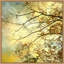 «Storm Clouds II» par Judy Stalus, reproduction d'art sur toile encadrée-109472939