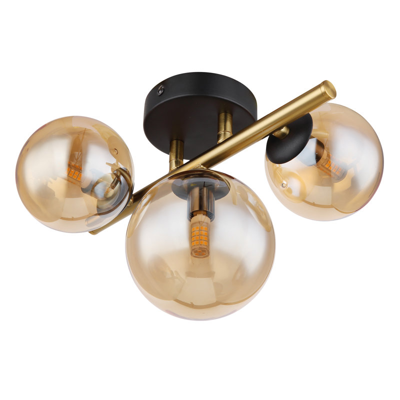 Candance Glass Spotlight