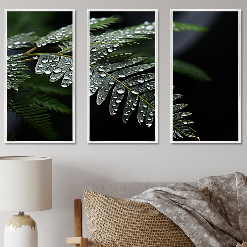 Ferns Charm In Winter - Ferns, ensemble d'art sur toile, H 28 po x l 36 po x P 1 po, Cadre flottant blanc