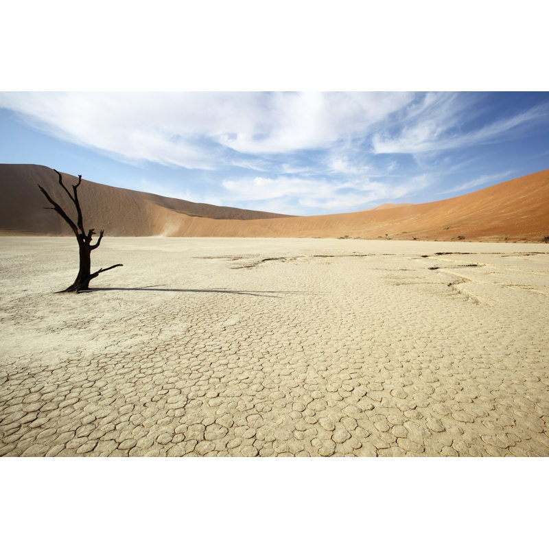 Lone Tree In Deadvlei - Wrapped Canvas Print, 20cm H x 30cm W x 3.8cm D