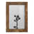 Walnut  selected