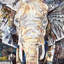 «Elephant's Gaze» par James Gray - impression sur toile-74621030-74621025-21472588