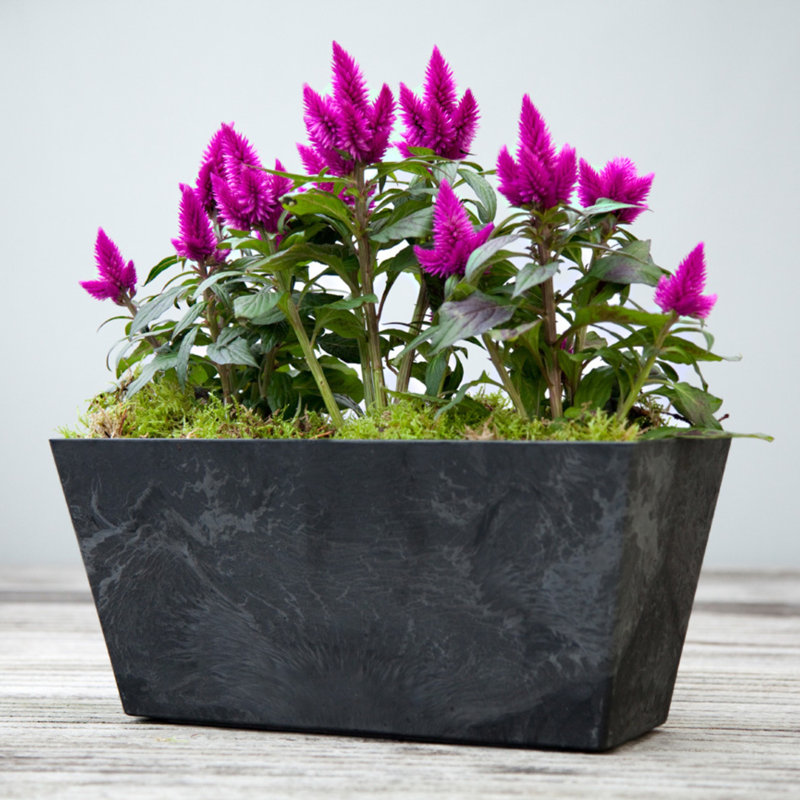 Balcony trough Ella black D55x17 H17