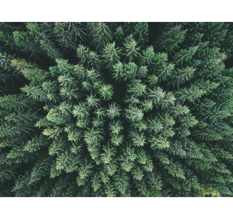 Wrapped Canvas Print, 81.28 cm H x 121.92 cm W