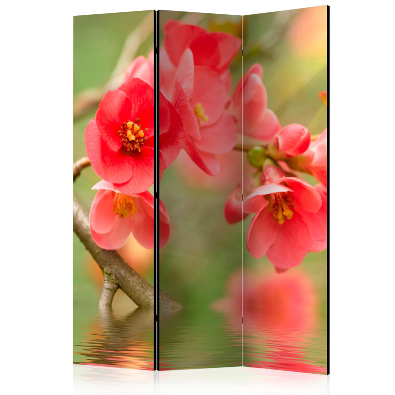 Chicora Room Divider, 3