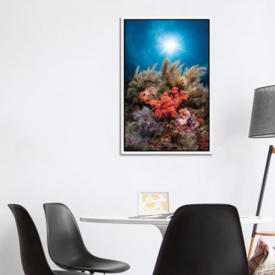 Underwater Life by Barathieu Gabriel - Print on Canvas